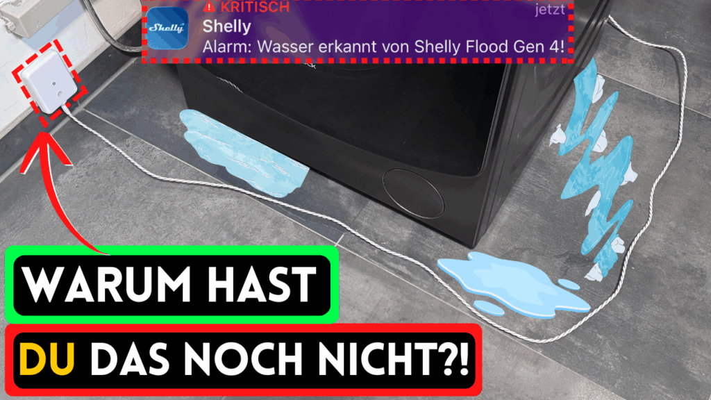 Shelly flood gen 4